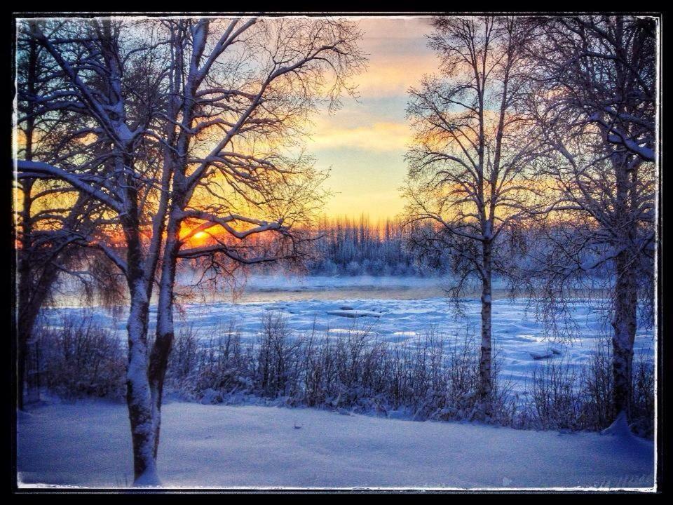 Susitna River Lodging, Riverside Cabins 塔尔基特纳 外观 照片