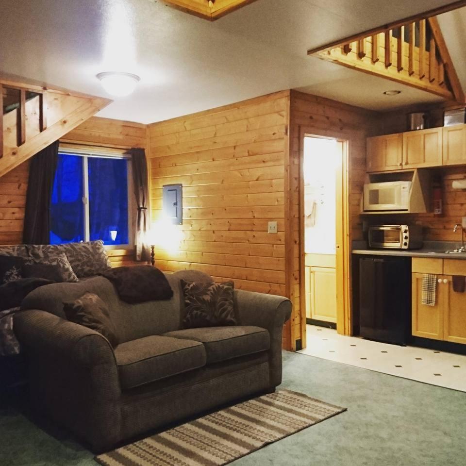 Susitna River Lodging, Riverside Cabins 塔尔基特纳 外观 照片